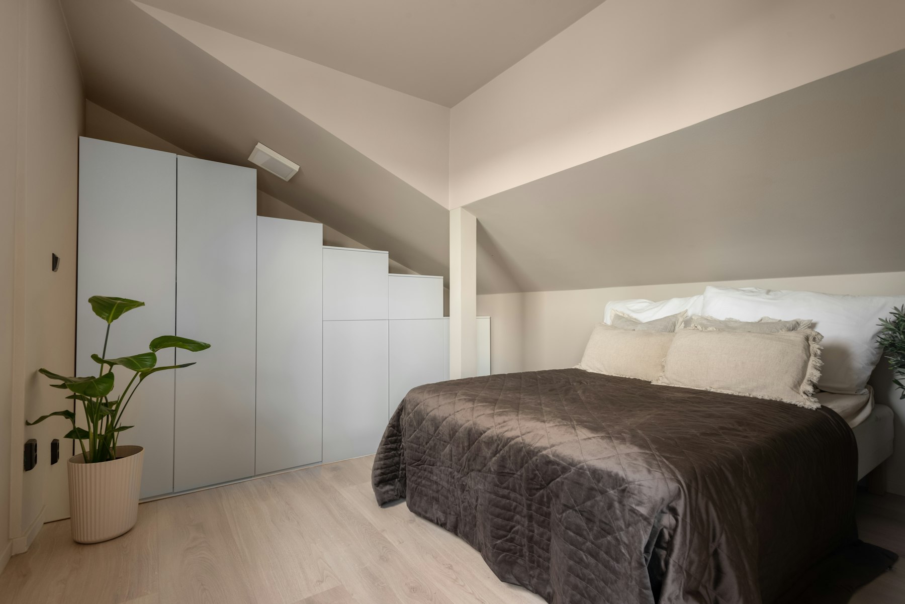 A bed sitting in a bedroom next to a plant